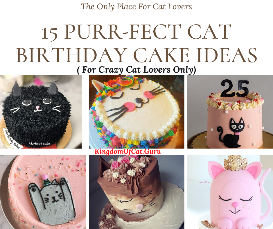 15 Purr-Fect Cat Birthday Cake Ideas ( For Crazy Cat Lovers Only)
