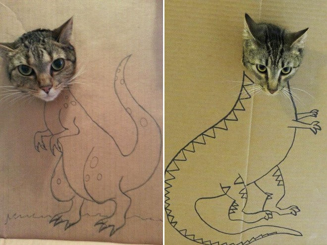 People Are Using Cardboard Boxes To Turn Their Cats Into Dinosaurs, And The Results Are Hilarious