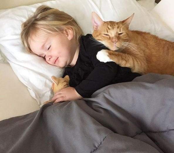 Touching Moment When Little Girl Sings ‘You Are My Sunshine’ To Her Dying Cat