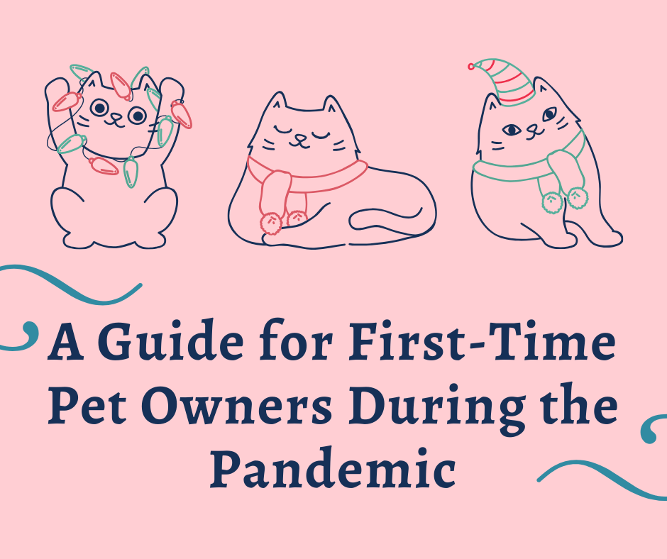 A Guide for First-Time Pet Owners During the Pandemic
