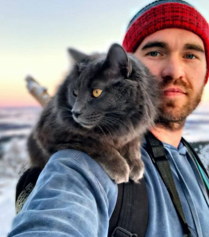 30 Of The Most Adorable Photos Of Cat Dads And Their Furry Friends