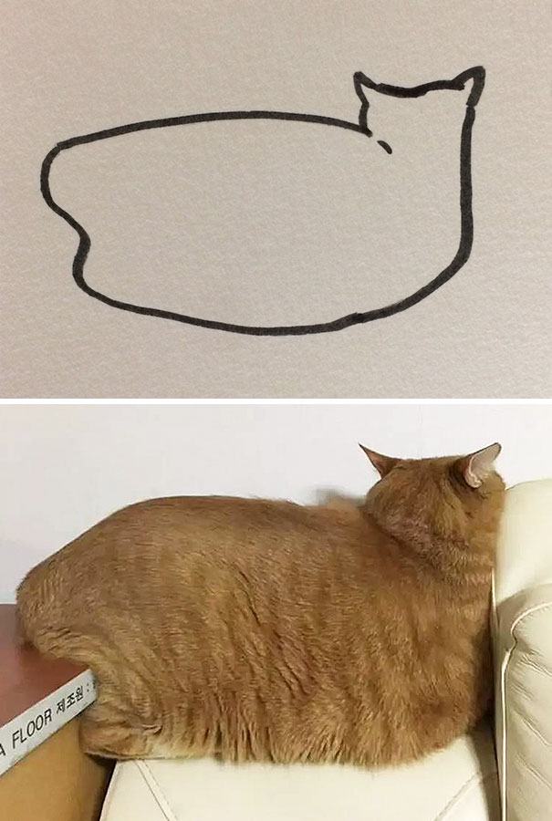 When Your Teacher Says You Can’t Draw Cats, But Your Paintings Are Photorealistic (20+ Photos)