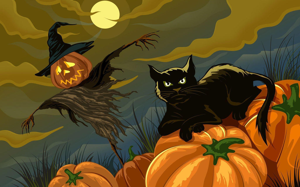 35+ Cat Wallpaper For Halloween 2020 (High Quality Resolution)