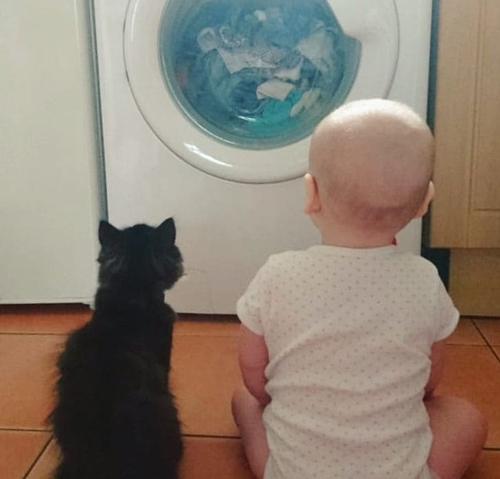 15 Photos That Prove Kids And Pets Are Like 2 Perfect Puzzle Pieces