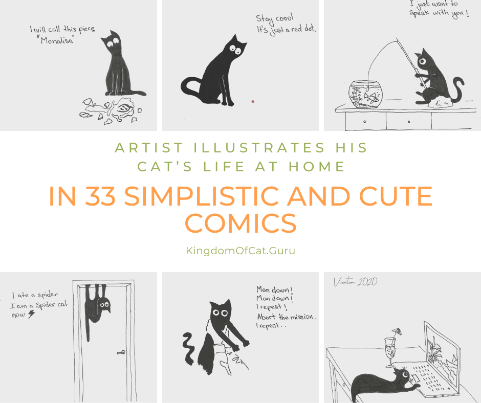 Artist Illustrates His Cat’s Life At Home In 33 Simplistic And Cute Comics