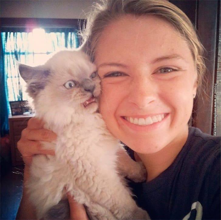 25 Fur Babies That Didn’t Want To Take A Selfie But Still Ended Up Looking Good