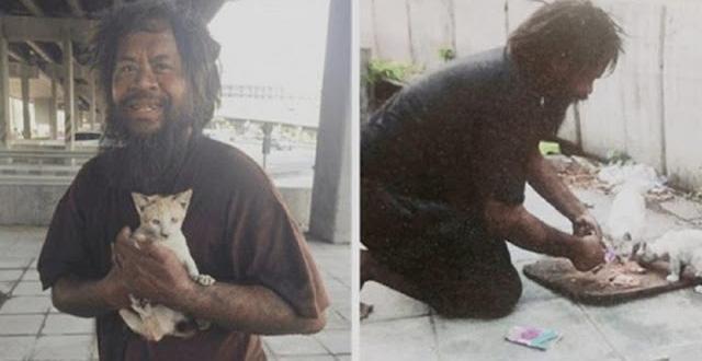 Homeless Man Always Feed Stray Cats Before Himself Every Day