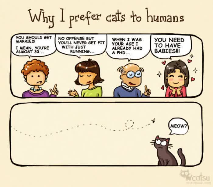 10 Adorable Comics That Are Perfect Examples Of What Makes Cats So Adorably Strange