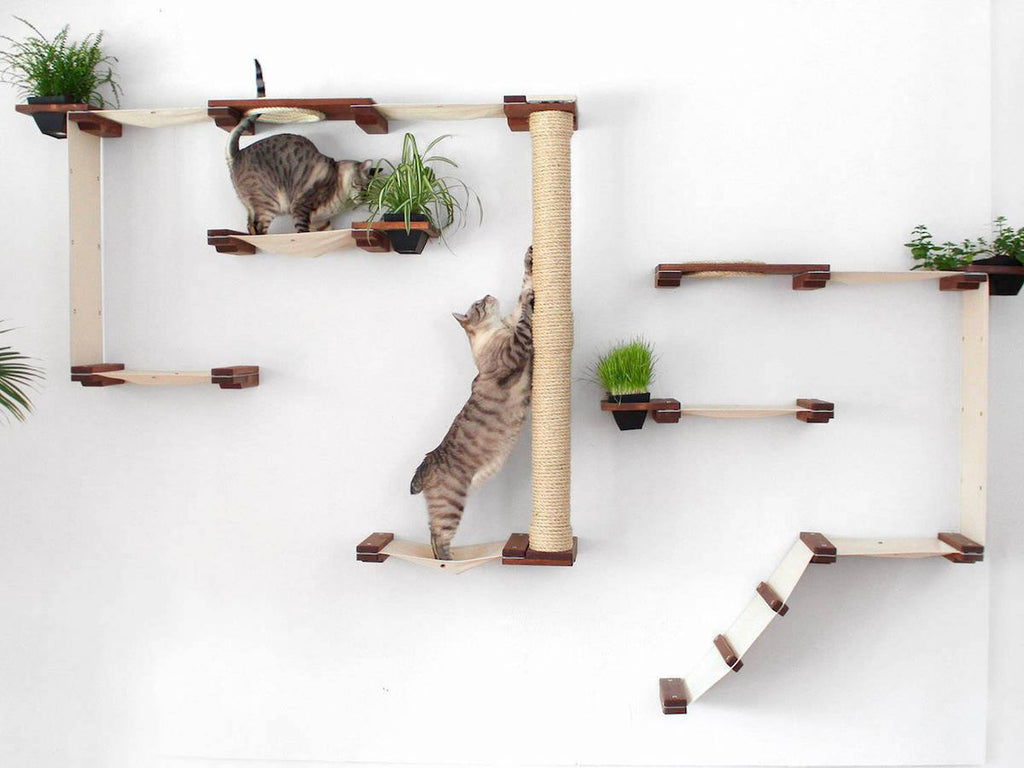 Minimalist Modular Systems Turn Walls Into Feline Playgrounds