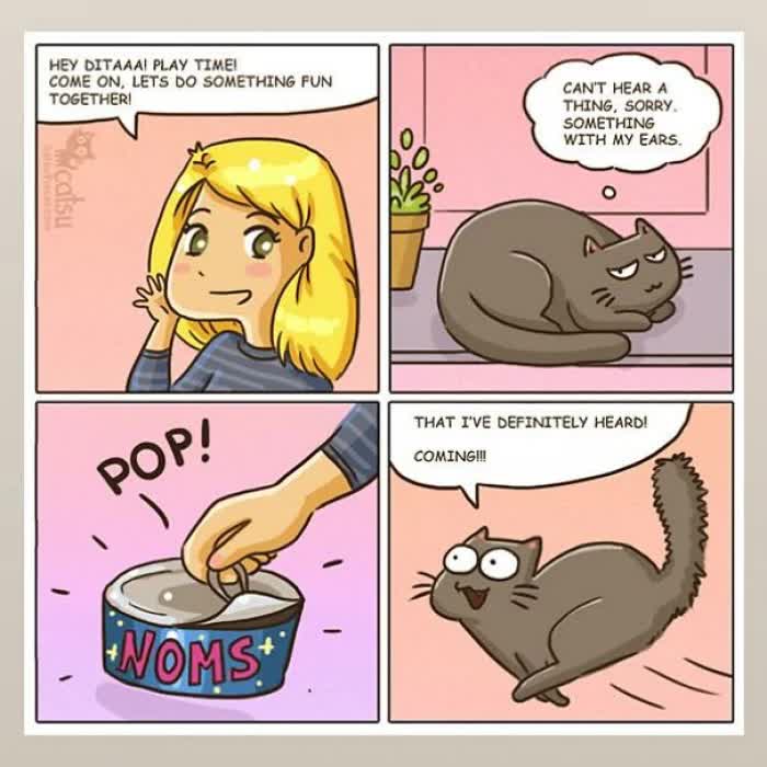 31 Hilarious Comics That Every Cat Owner Can Relate To