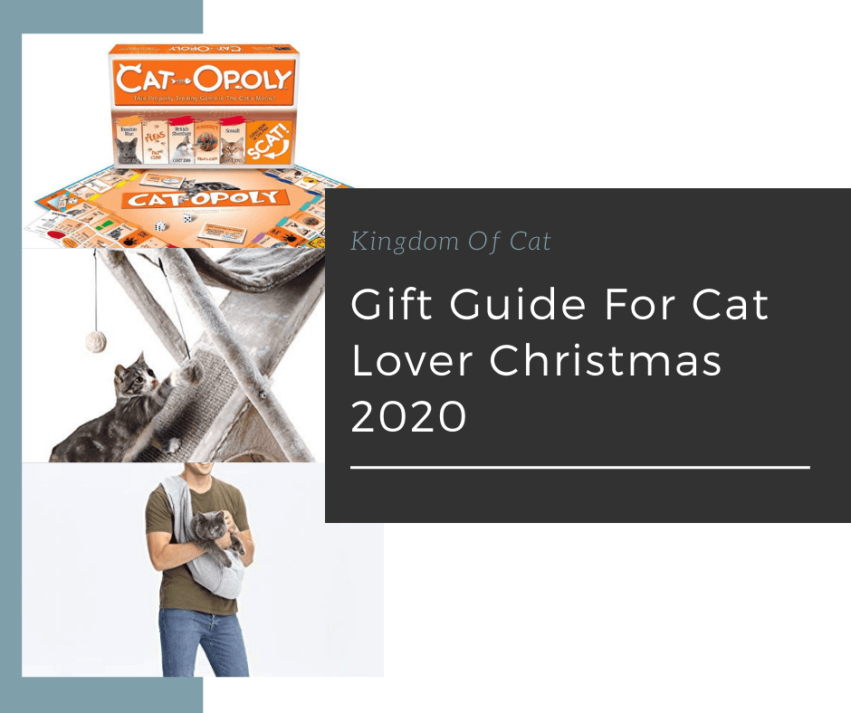 Gift Guide To Cat Lovers and Owner Christmas 2020