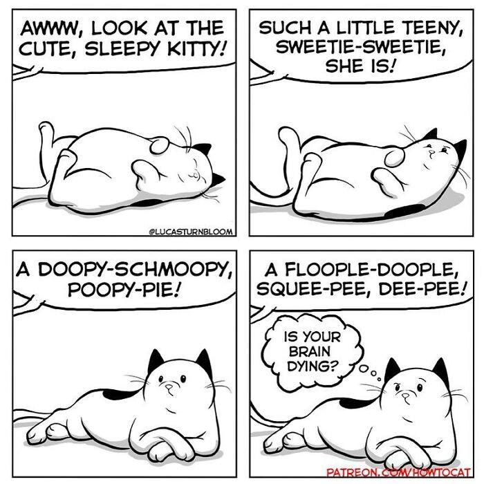 30 Adorable Comics That Perfectly Demonstrate What Life Is Like With A Cat