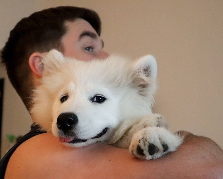 20 Animals Who Love Our Hugs And Cuddles More Than Anything